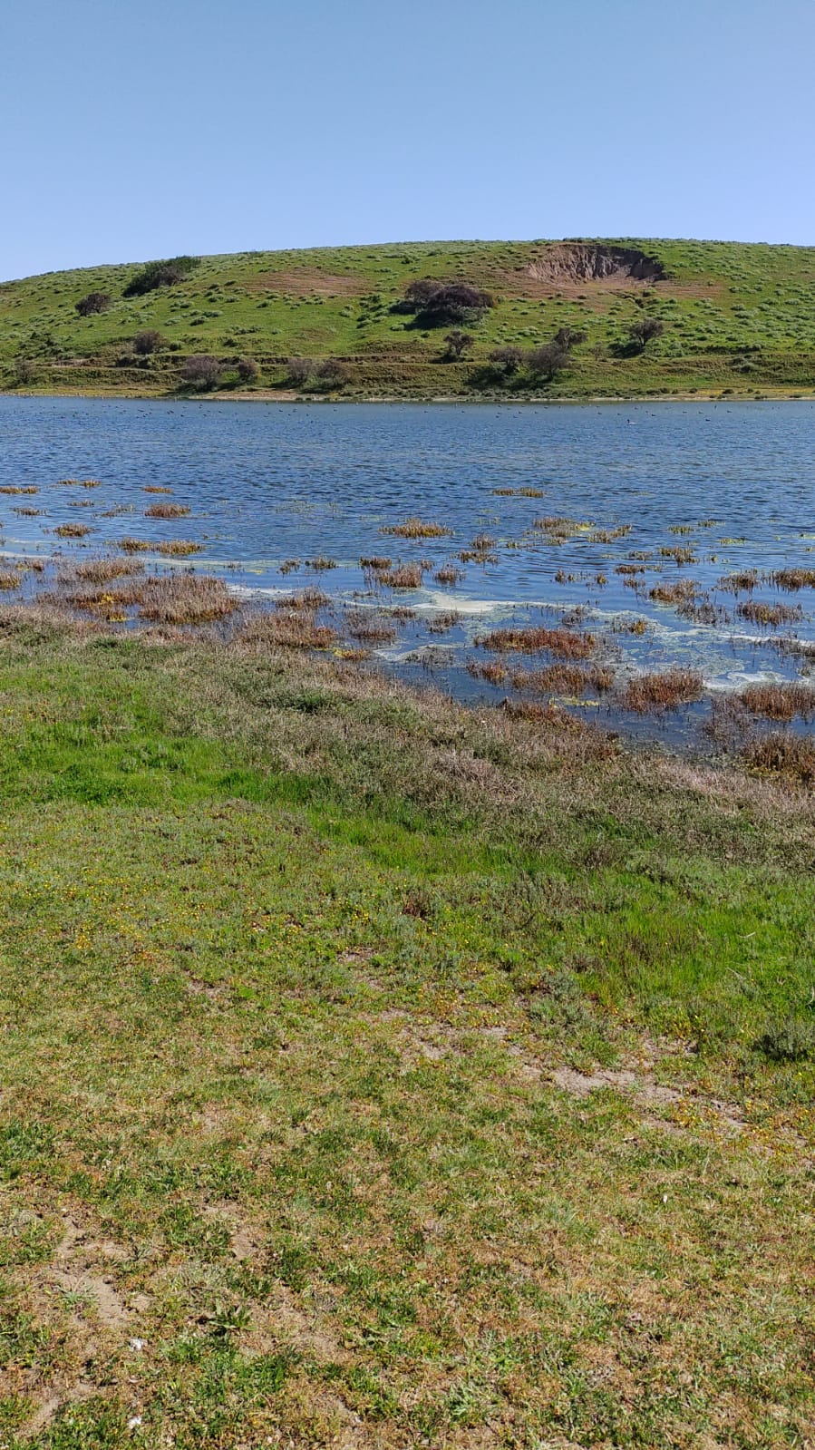 Se vende pparcela ex fundo convento en Santo domingo.