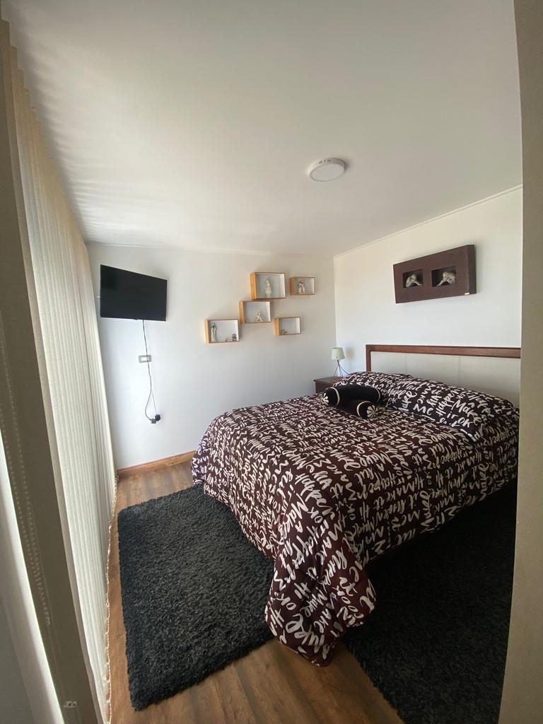 Se vende Mirasol alto (algarrobo)