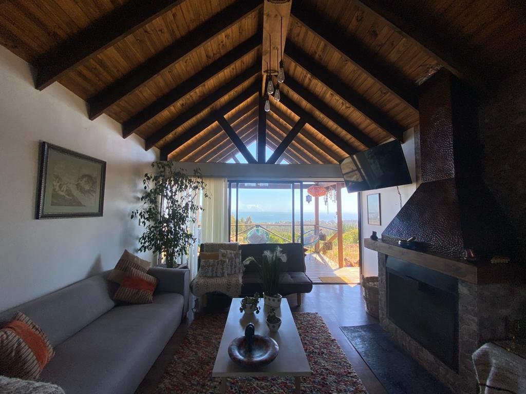 Se vende Mirasol alto (algarrobo)