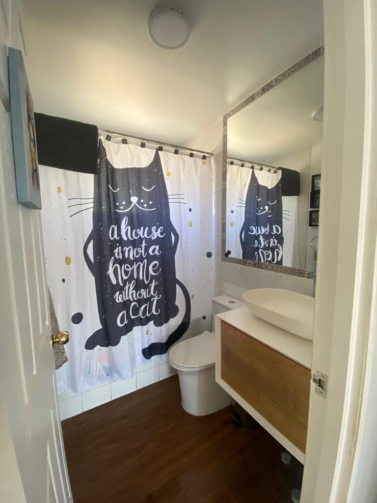 Se vende Mirasol alto (algarrobo)