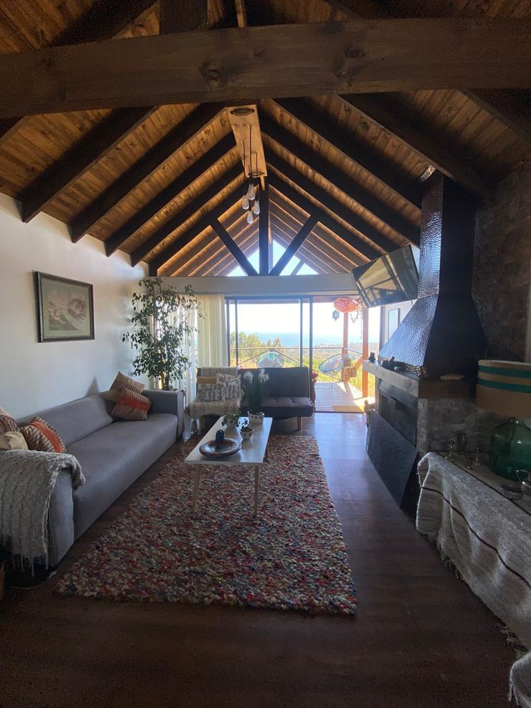 Se vende Mirasol alto (algarrobo)