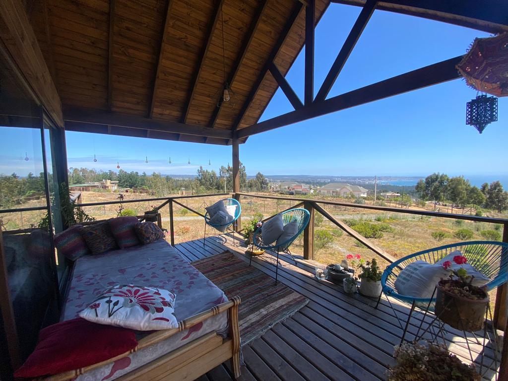 Se vende Mirasol alto (algarrobo)