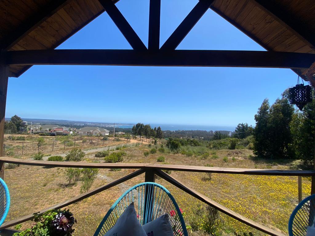 Se vende Mirasol alto (algarrobo)