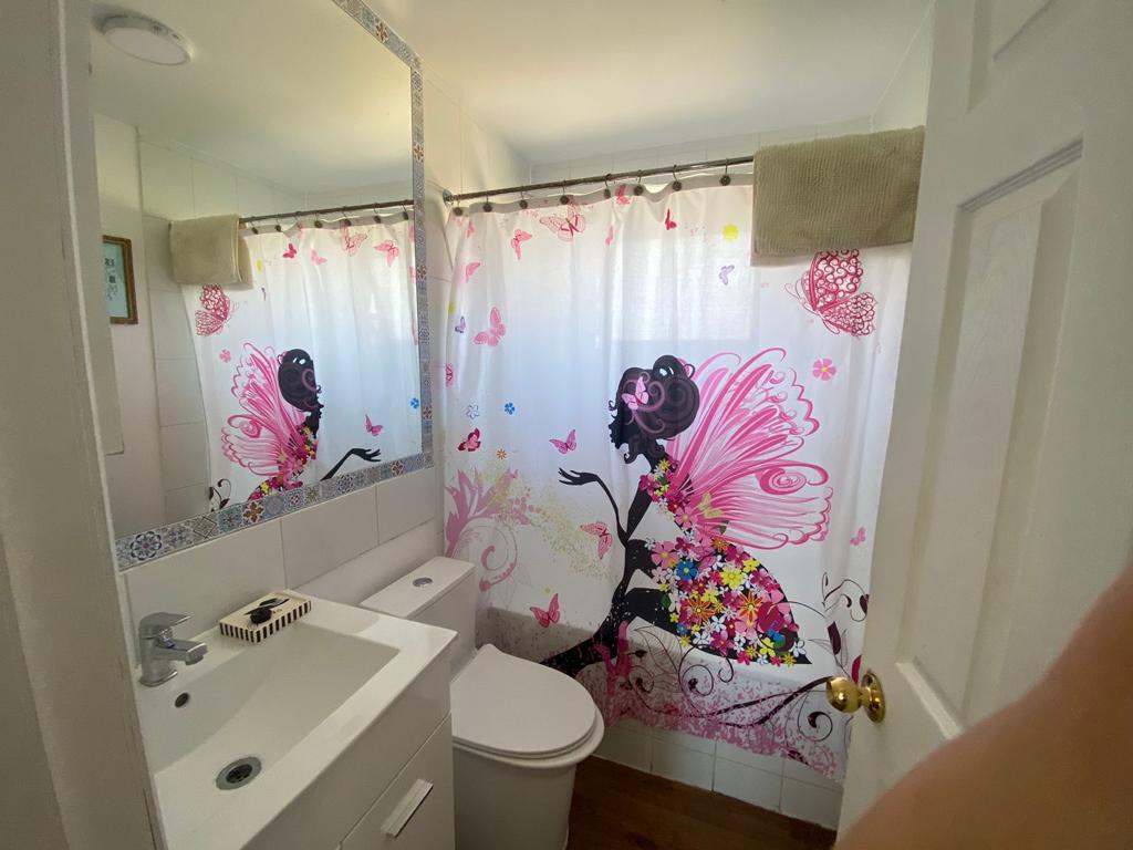Se vende Mirasol alto (algarrobo)