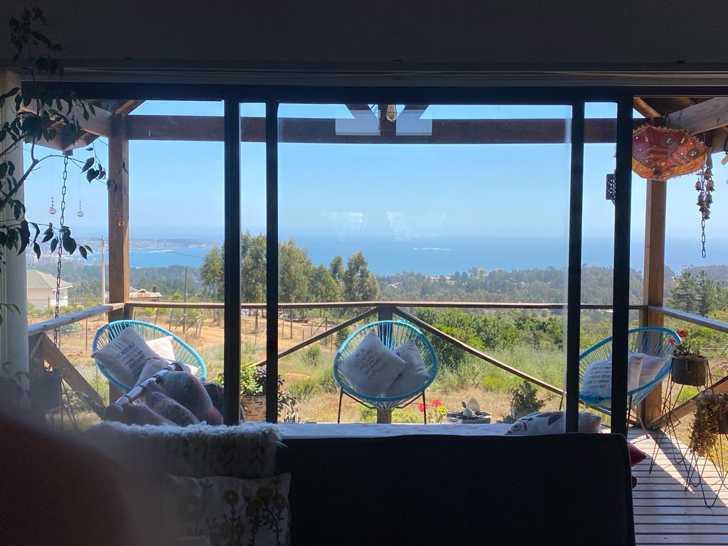 Se vende Mirasol alto (algarrobo)
