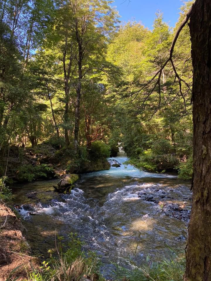 Parcela Santa Maria Quepe , novena region