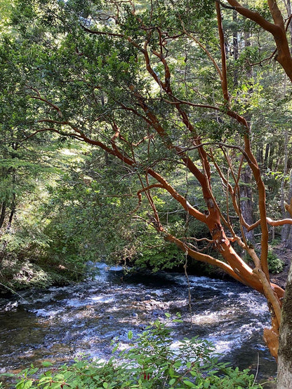 Parcela Santa Maria Quepe , novena region